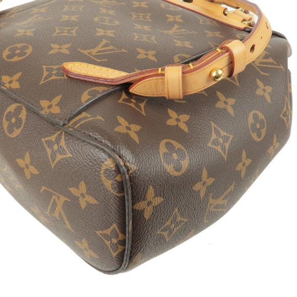 Montsouris Ruck Sack Monogram Canvas Backpack - Picture 7 of 11